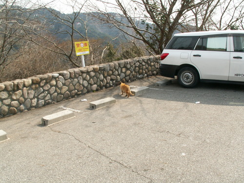 で、なんで尼崎行ったんだっけ。