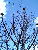 だぁいじょうぶ。