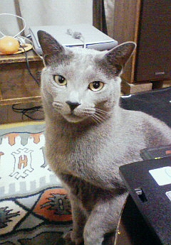 目は口ほどに・・・。