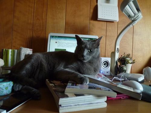 朔からのお知らせ。