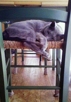 （´・ω・｀）。