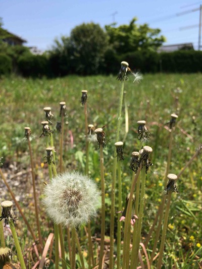 ある日のお届けもの。