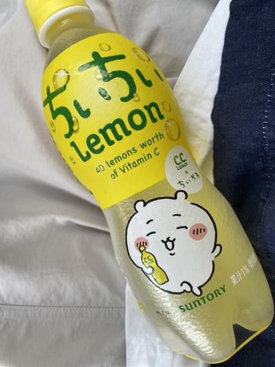 なんか小さくてかわいいやつ。