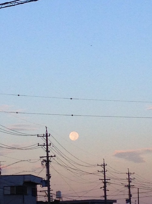 大きさ14%増し。