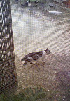 話せばわかる。