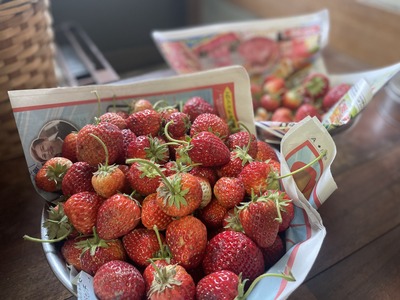 いちご消費一年分。