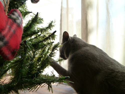 こっそりおイタ。