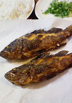 もう、スーパーで魚は買えない。