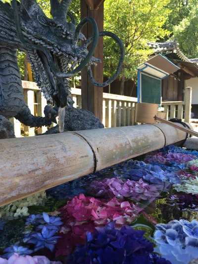 思い立って一宮市へ。