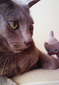 わからないけど・・・。