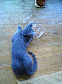 いつか必ず勝つ。