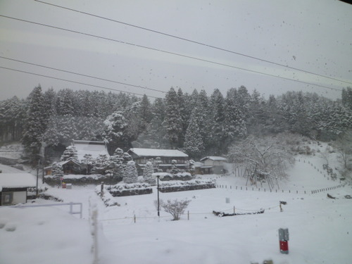 結局食べたものは名古屋めし・・・。
