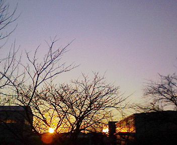 冬の匂いがしていました。