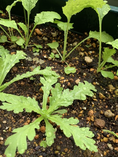 82920036-6F64-4233-BE0F-0E7A49A16B32