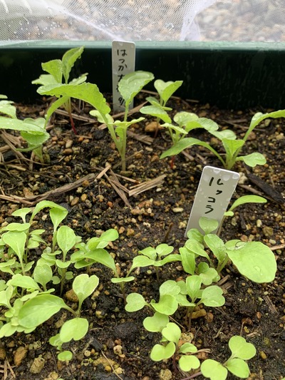 4921FD9A-43D4-4D79-A62E-14D3D7C34F93