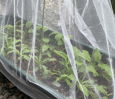 BFD95D03-8707-4C0E-B70F-914EE92F85C2