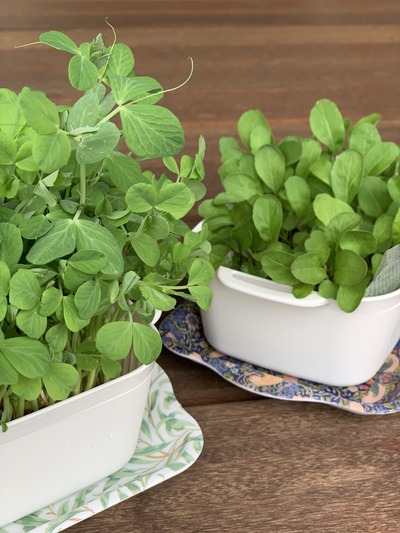 61B5BE43-7896-45EE-9CB1-5D34E5CCAB42