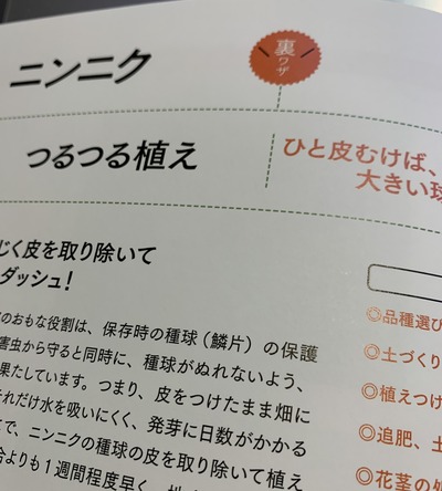 EBA36FA5-F882-420A-AA2B-A578C0D12218