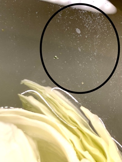 BBF27559-DB57-49B9-AA49-6F460006E64E