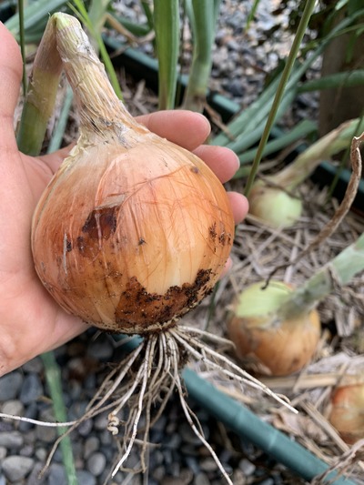 0DDC80C8-FF57-4B52-83D0-3F93BE4C3FD8