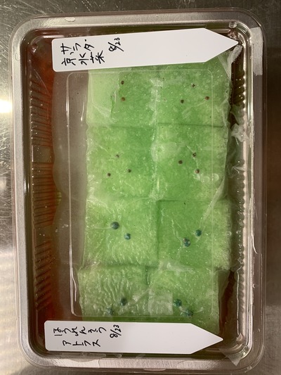 D1DC6CD4-32BA-4AC6-92DB-843E6838707F