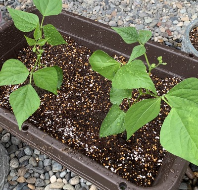 DABF08F2-7C4F-4C78-B7CD-8A500AF01E0E