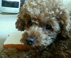200904301630000