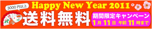 送料無料キャンペーン激安SALE