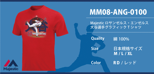 MM08-ANG-0100