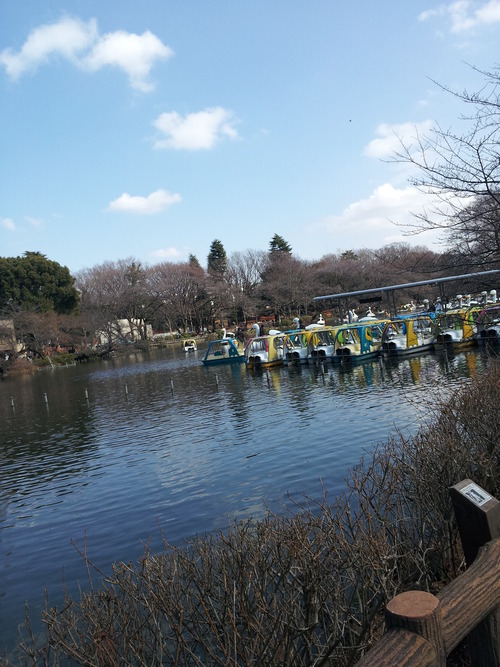 井の頭公園2