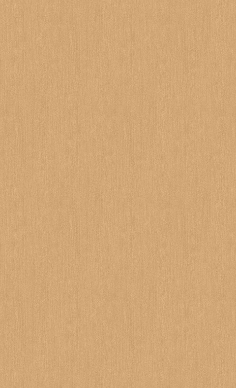 DW-1901MT_LAのコピー