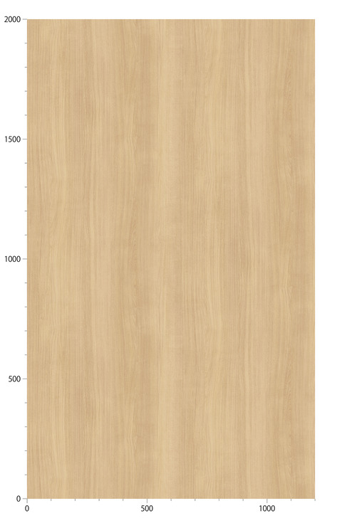 TC5066-YC5918_20240118B01