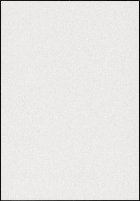 BC-9A_A4サンプル画像（W200×H290mm・1_1）