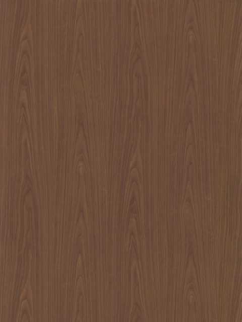 SW-24_大判サンプル画像（W900×H1200mm・1_1）