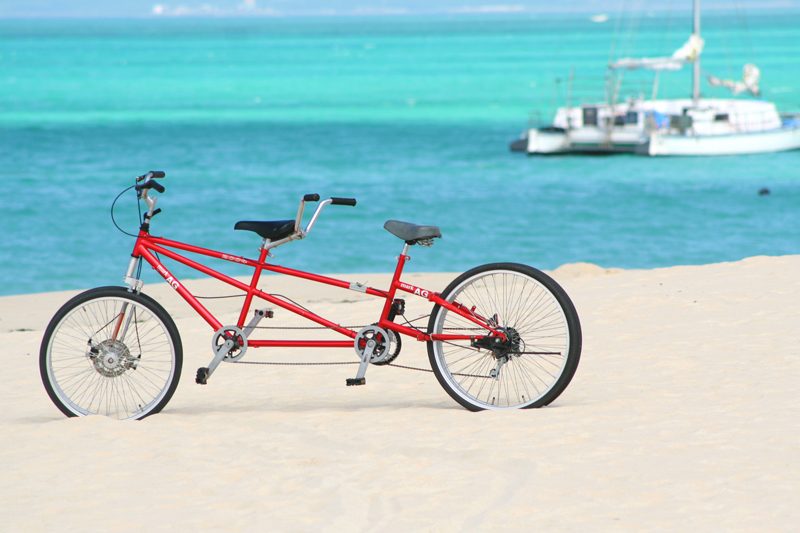 4 輪 自転車 公道