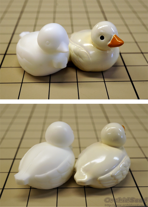 【新品】国天妙 すぺしゃる illustrated by いぬぶろ【送料無料】 国天妙 すぺしゃる illustrated by いぬぶろ -ブロンド-