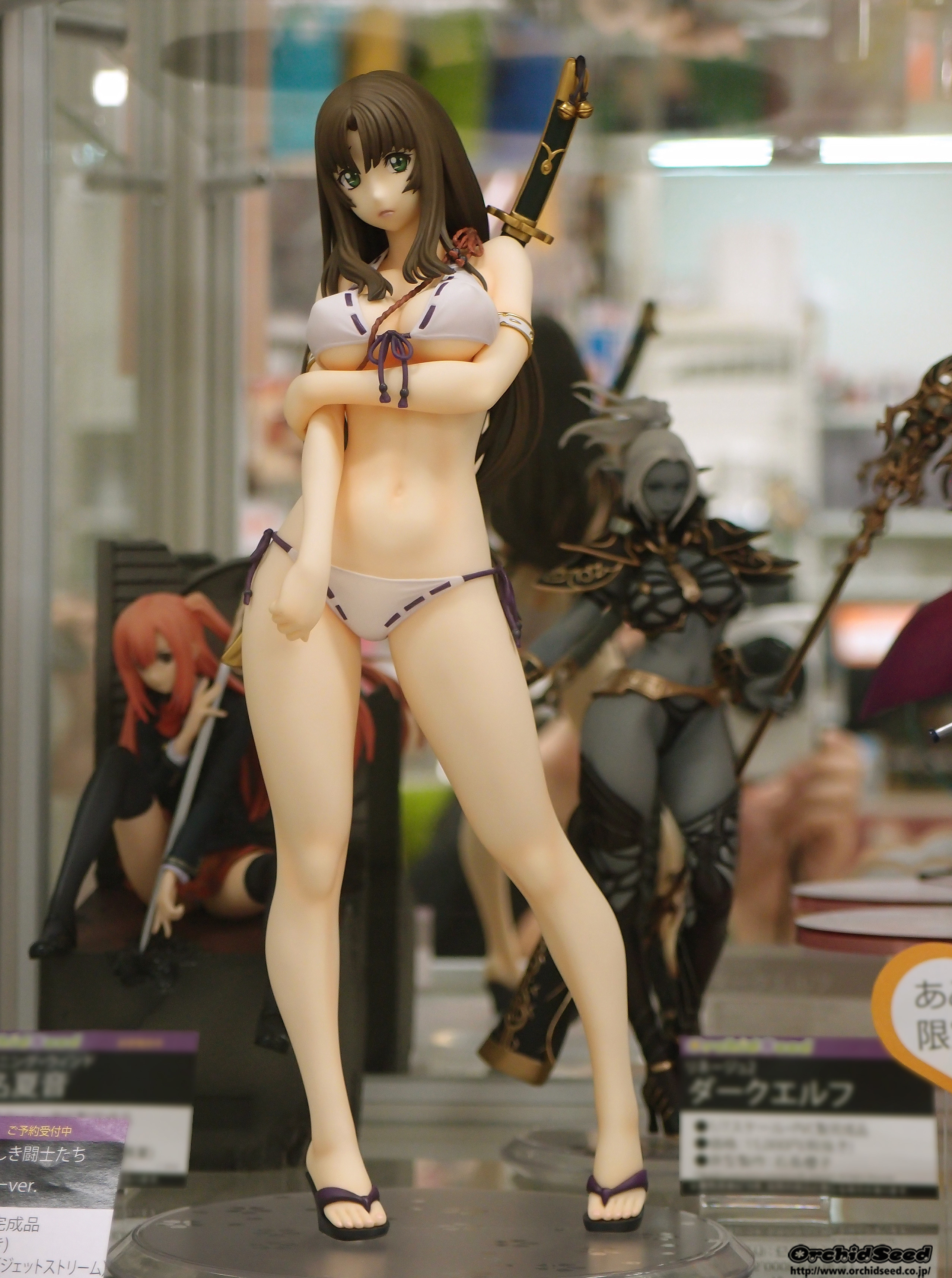 トモエ2Pあみあみ様展示画像20191015