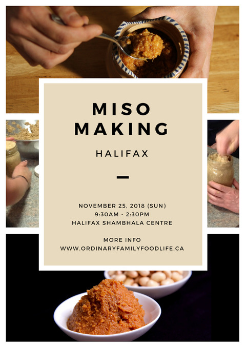 2018 11 25 miso in halifax online