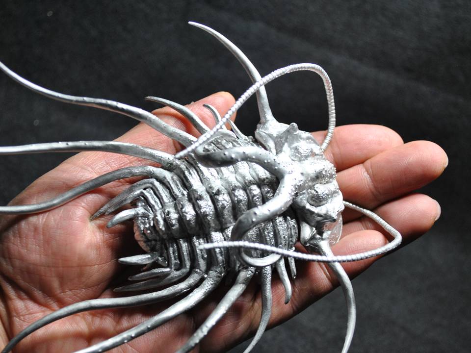 三葉虫(ディクラヌルスとレピデュルスのセット) 3D三葉虫ディクラヌルス予約開始します! : オルドビス造形