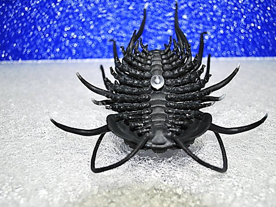 ツーソンのオルドビス三葉虫復元模型 : オルドビス造形工房/スター