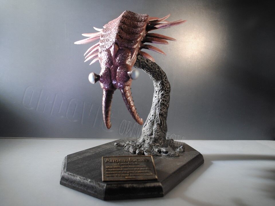 オルドビス造形工房 スター ジョン ブログ編 アノマロカリス カナデンシス定説型の概要その１