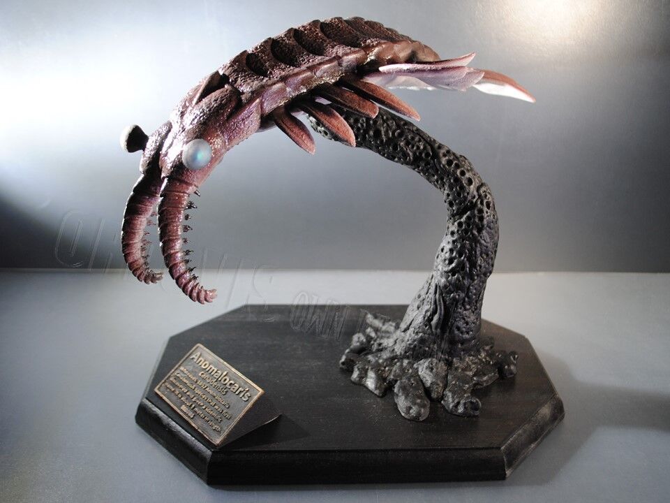 オルドビス造形工房 スター ジョン ブログ編 アノマロカリス カナデンシス定説型の概要その２