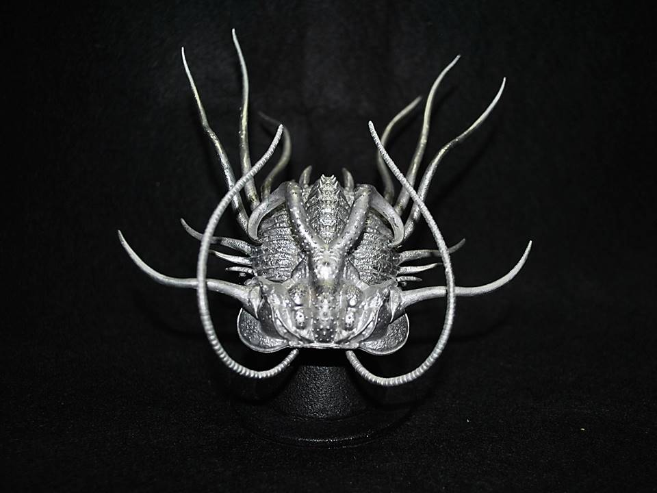 三葉虫(ディクラヌルスとレピデュルスのセット) あこがれのディクラヌルス・モンストローサス。極限まで母岩をそぎ