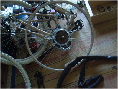 自転車 (23)