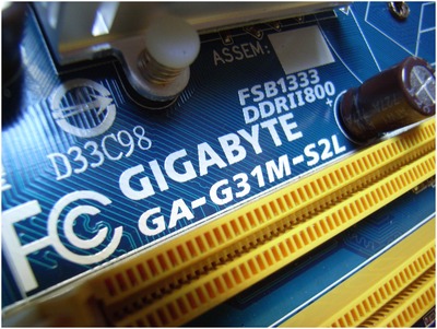 G31M (4)