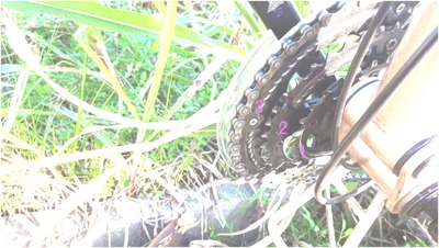 自転車