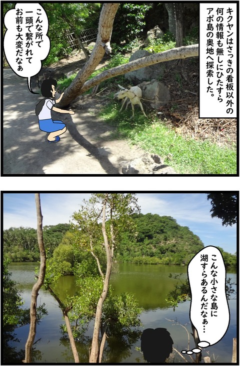 第31話　アポ島探索①5,6