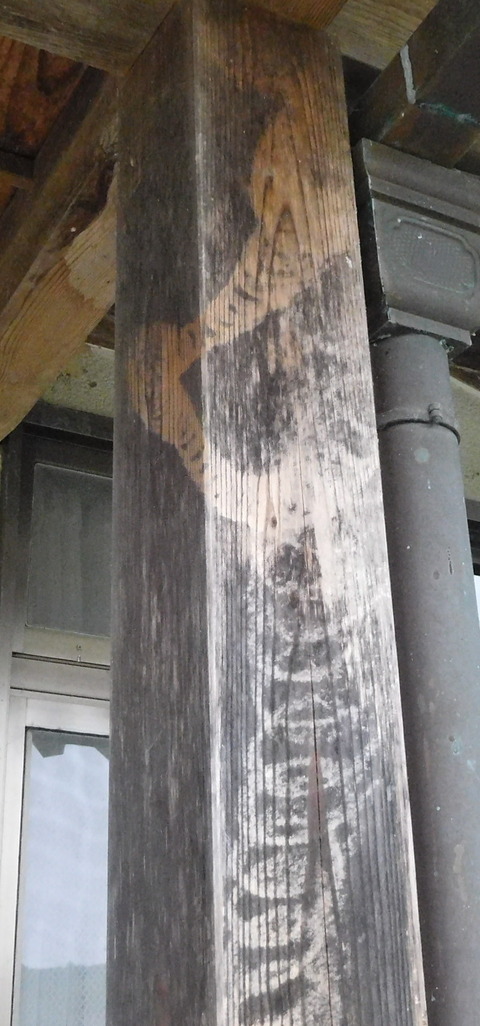 柱についた昇り竜１