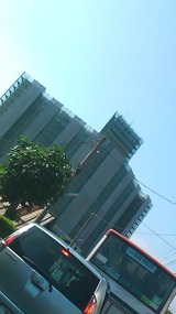 3c300565.jpg