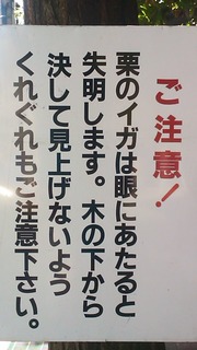 dd454d69.jpg